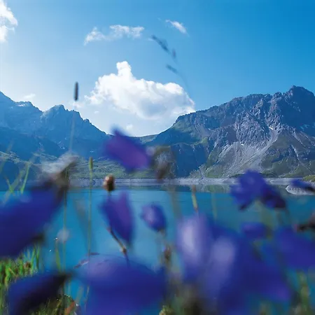 Апартаменты Montanara